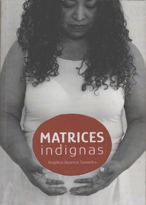Matrices Indignas: Sobre la anticoncepción forzada contra las mujeres racializadas en México | Angélica Aparicio Saavedra