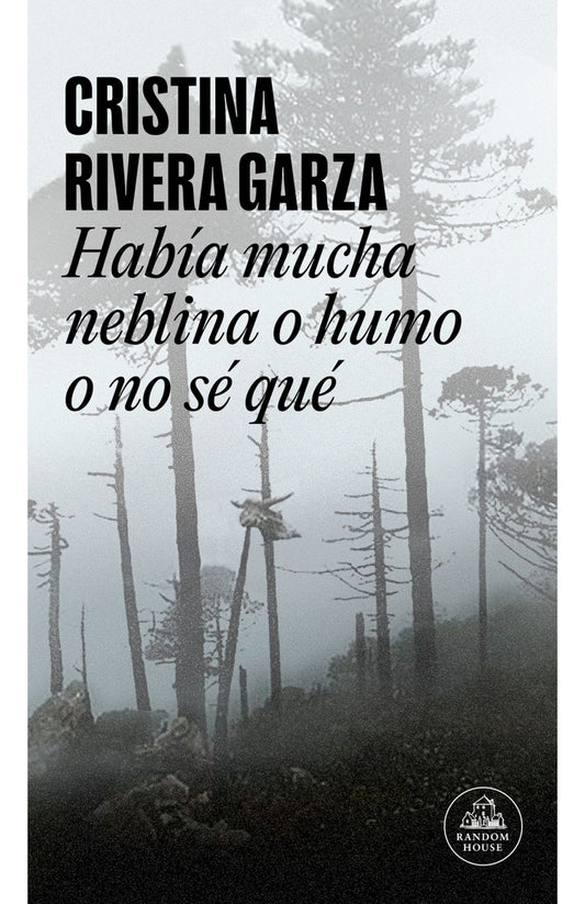HABIA MUCHA NIEBLA O HUMO O NO SE QUE | Cristina Rivera Garza
