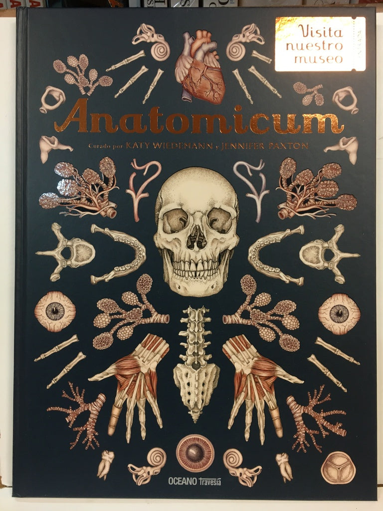 Anatomicum | Jennifer/Wiedemann Katy Z. Paxton