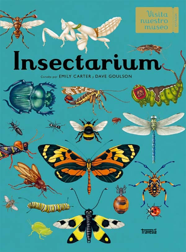 INSECTARIUM | VV AA