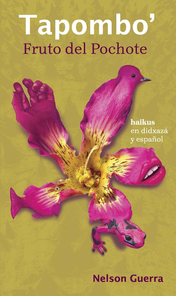 Fruto del pochote/ Tapombo´ | Nelson Guerra