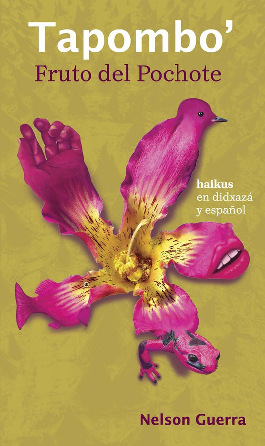 Fruto del pochote/ Tapombo´ | Nelson Guerra