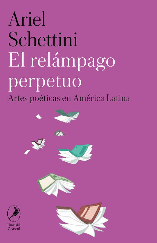 El relámpago perpetuo | Ariel Schettini
