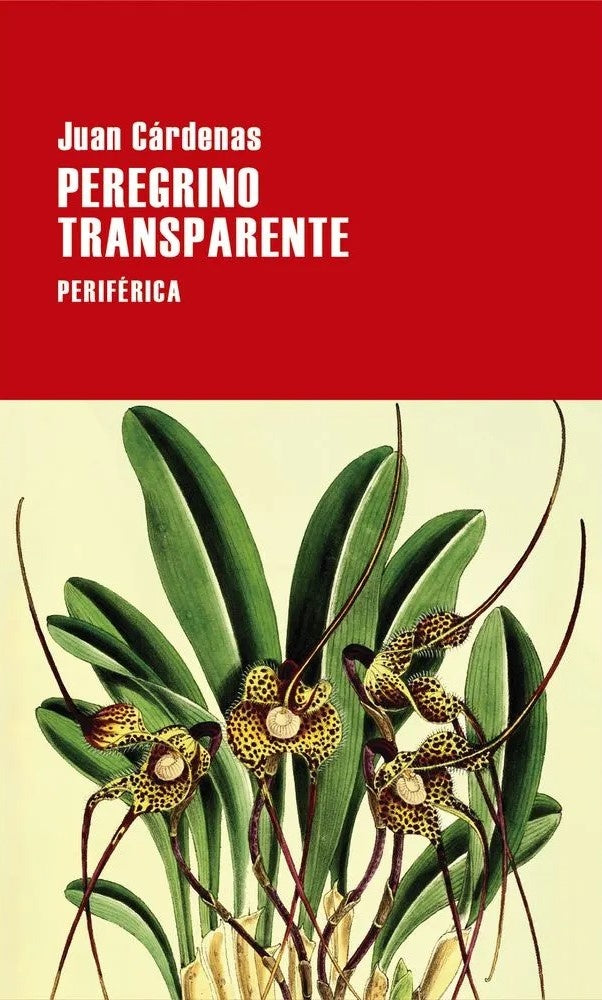 PEREGRINO TRANSPARENTE | Juan Cárdenas