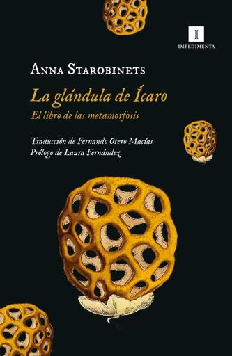 Glándula de Ícaro, La. El libro de las metamorfosis | Anna Starobinets
