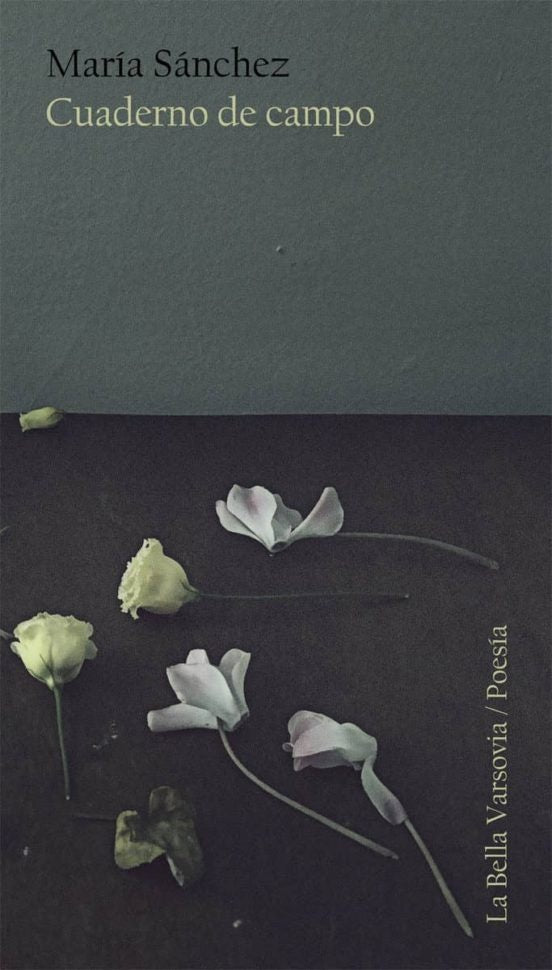 Cuaderno de campo | María Sánchez