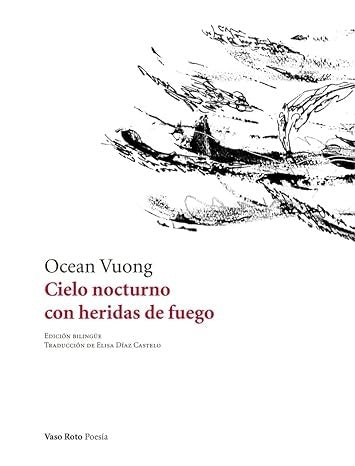 Cielo nocturno con heridas de fuego | Ocean Voung
