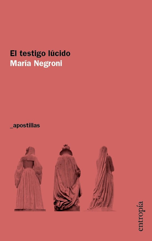 El testigo lúcido | María Negroni