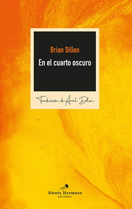 En el cuarto oscuro | Brian Dillon