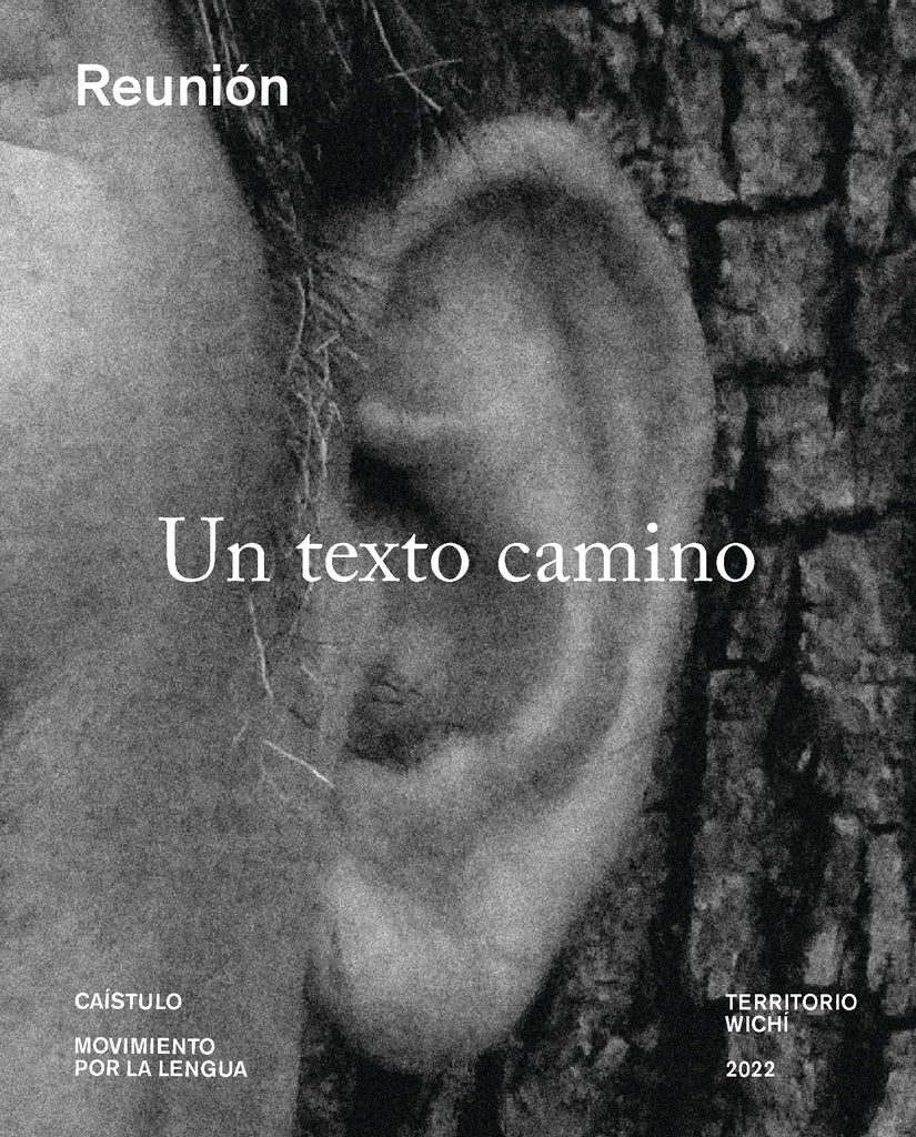 Un texto camino | Caístulo