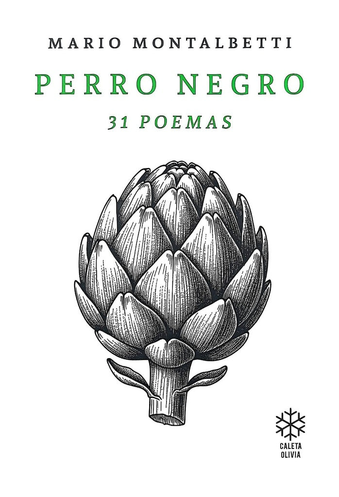 Perro negro. 31 poemas | Mario Montalbetti