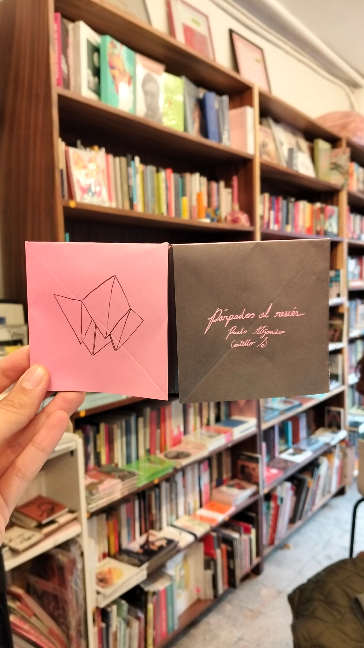 Párpados al revés | Paula Alejandra Castillo