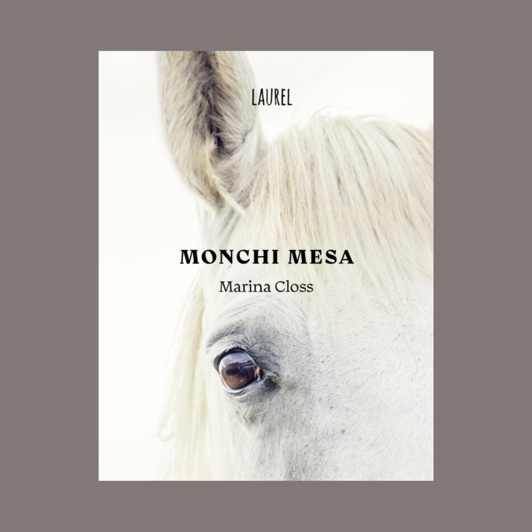 Monchi Mesa