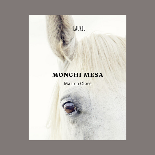 Monchi Mesa