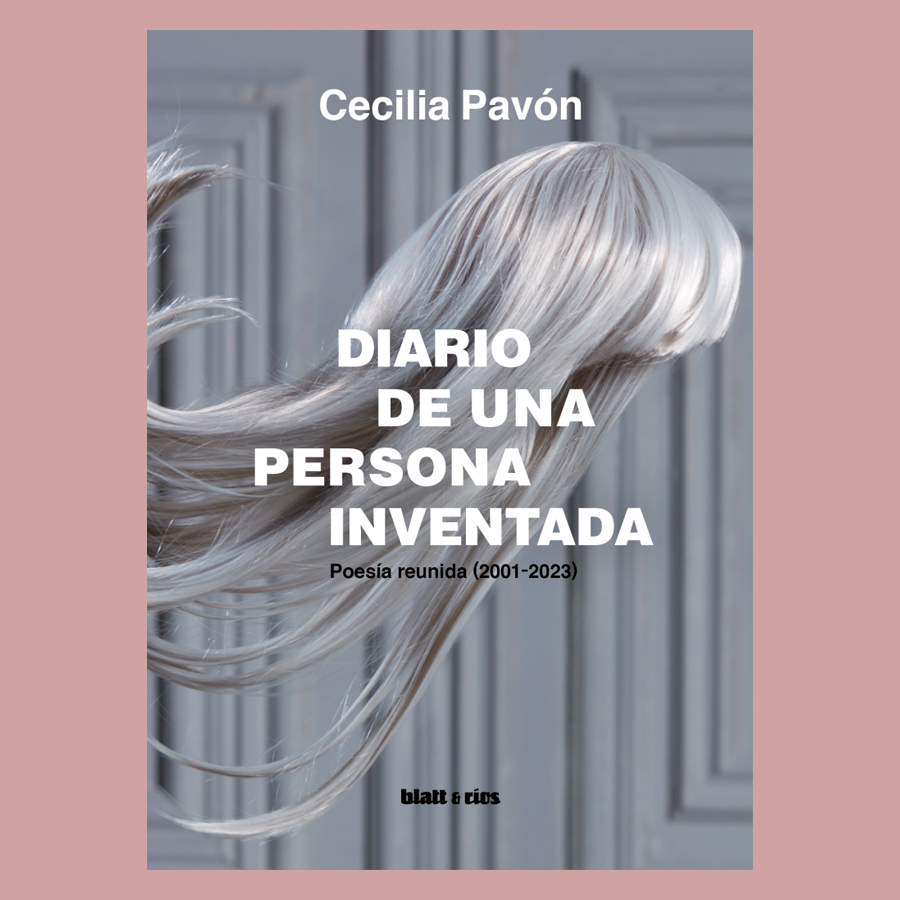 Diario de una persona inventada