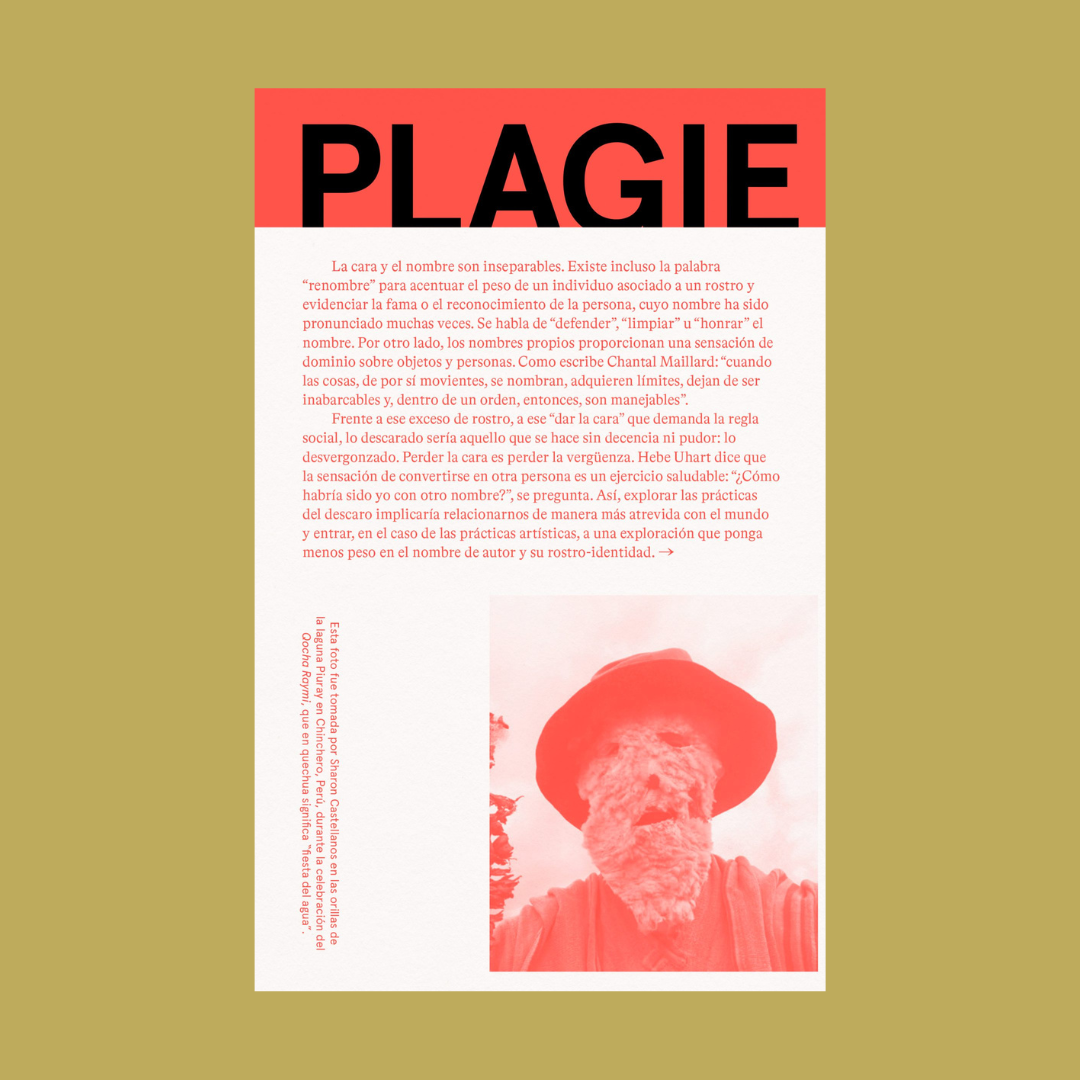 PLAGIE COPIE MANIPULE ROBE REESCRIBA ESTE LIBRO