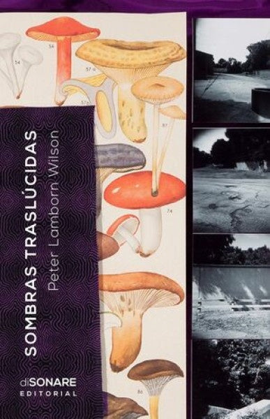 Sombras translucidas | Peter  Lambron Wilson