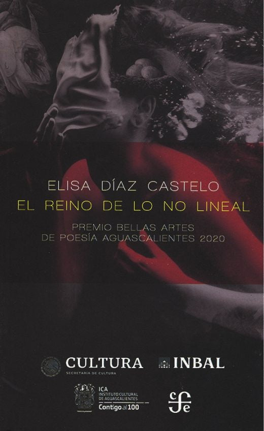El reino de lo no lineal | ELISA DÍAZ CASTELO