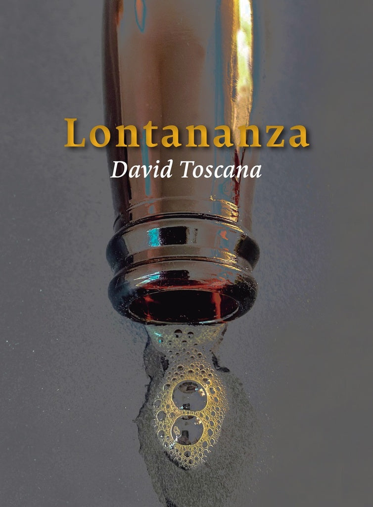 Lontananza | David Toscana