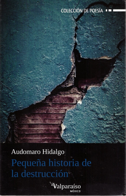 Pequeña historia de la destrucción | AUDOMARO HIDALGO