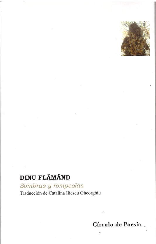 Sombras y rompeolas | Dinu Flamand