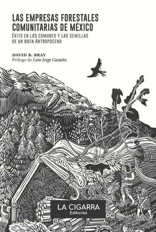 LAS EMPRESAS FORESTALES COMUNITARIAS DE MÉXICO | David Bray