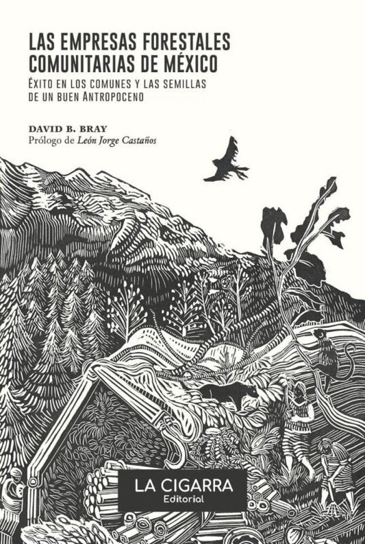LAS EMPRESAS FORESTALES COMUNITARIAS DE MÉXICO | David Bray