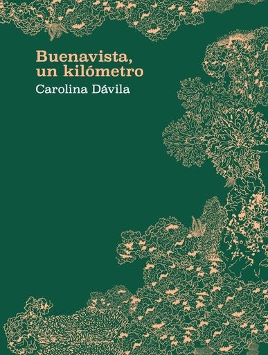 Buenavista, un kilómetro | Carolina Dávila