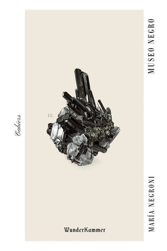 Museo negro | María Negroni