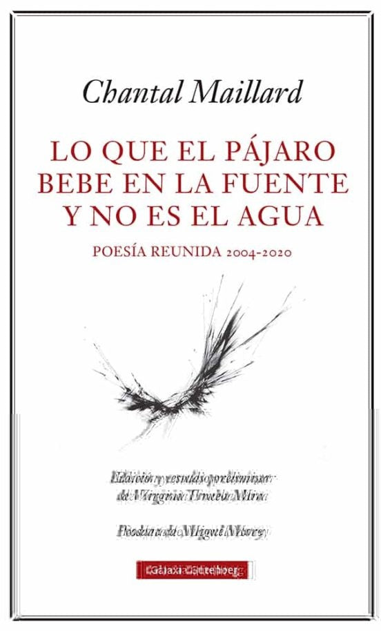 LO QUE EL PAJARO BEBE EN LA FUENTE Y NO | CHANTAL MAILLARD