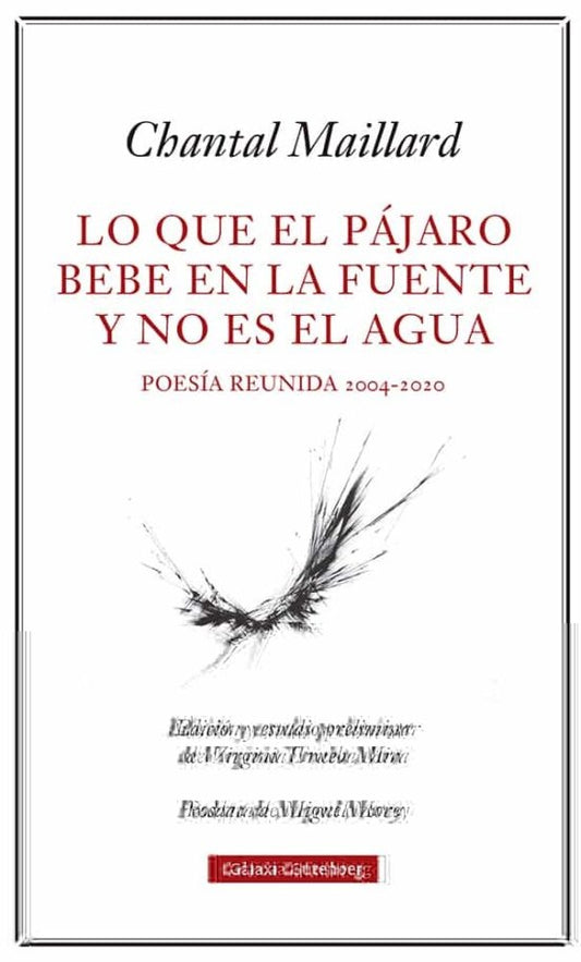 LO QUE EL PAJARO BEBE EN LA FUENTE Y NO | CHANTAL MAILLARD