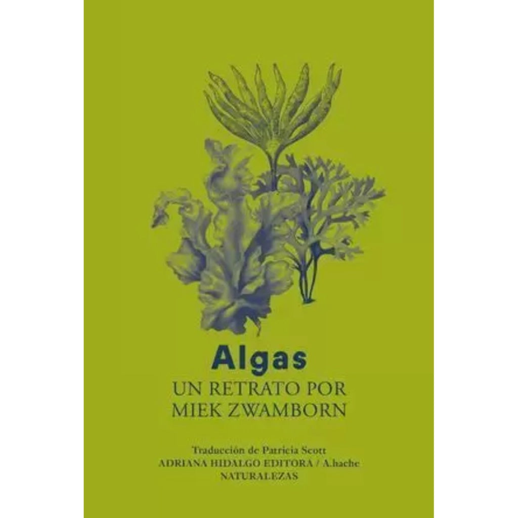 Algas | Miek Zwamborn