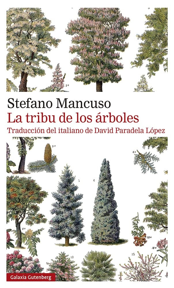 TRIBU DE LOS ARBOLES, LA (2°ED)