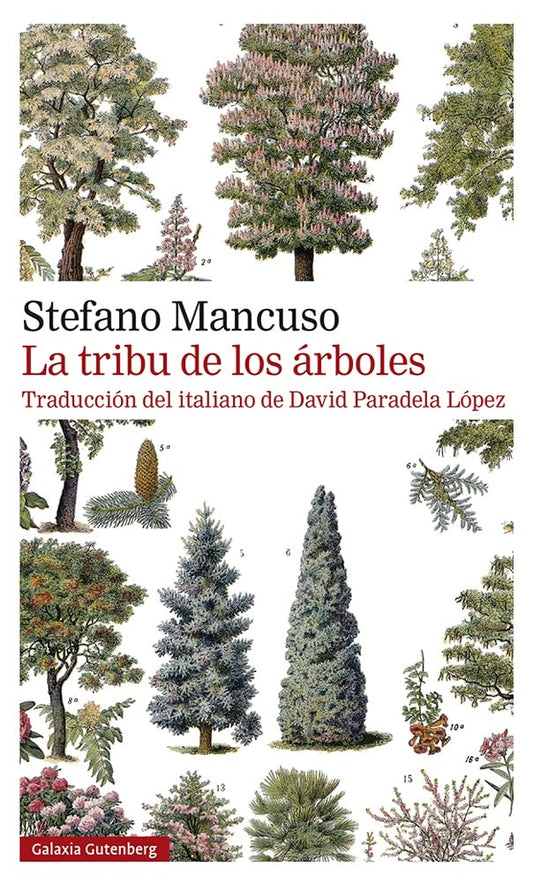 TRIBU DE LOS ARBOLES, LA (2°ED)