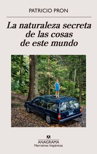 NATURALEZA SECRETA DE LAS COSAS DE ESTE MUNDO, LA | Patricio Pron