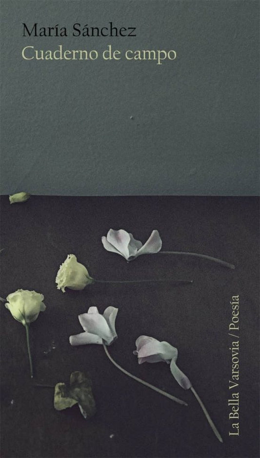 Cuaderno de campo | María Sánchez