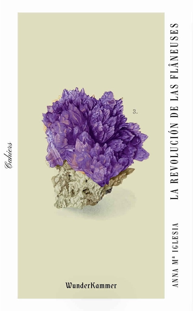 La revolución de las flâneuses | Anna Mª Iglesias