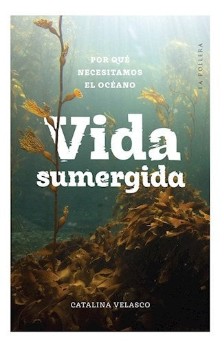 VIDA SUMERGIDA | CATALINA VELASCO