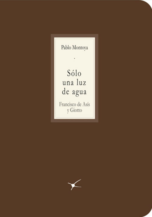 Sólo una luz de agua | Pablo Montoya