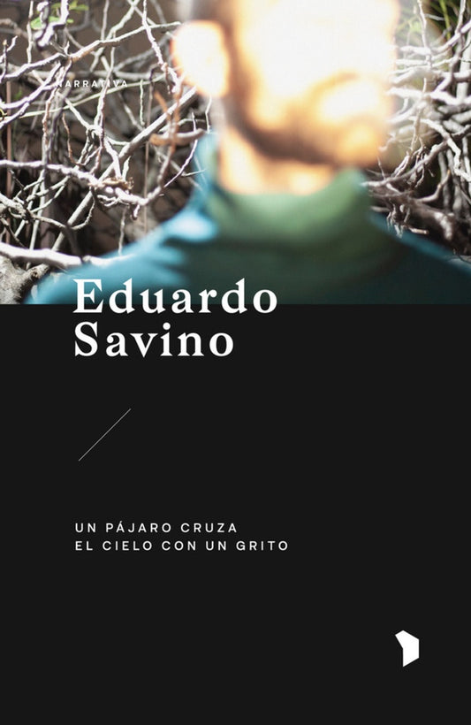 Un p jaro que cruza el cielo con un grito | Eduardo Savino