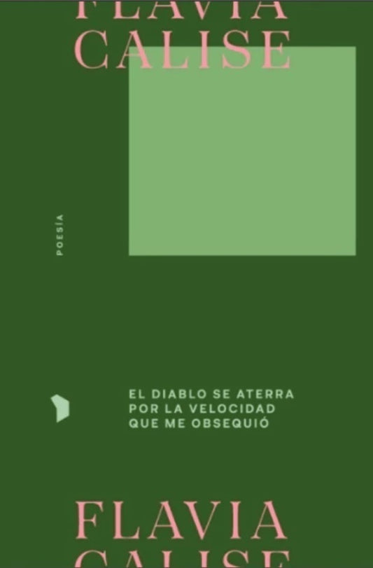 El diablo se aterra por la velocidad que me obsequi¢ | Flavia Calise