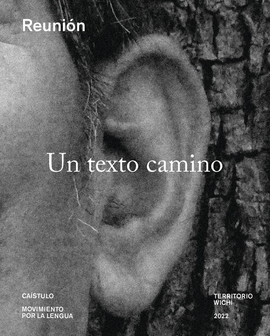 Un texto camino | Caístulo