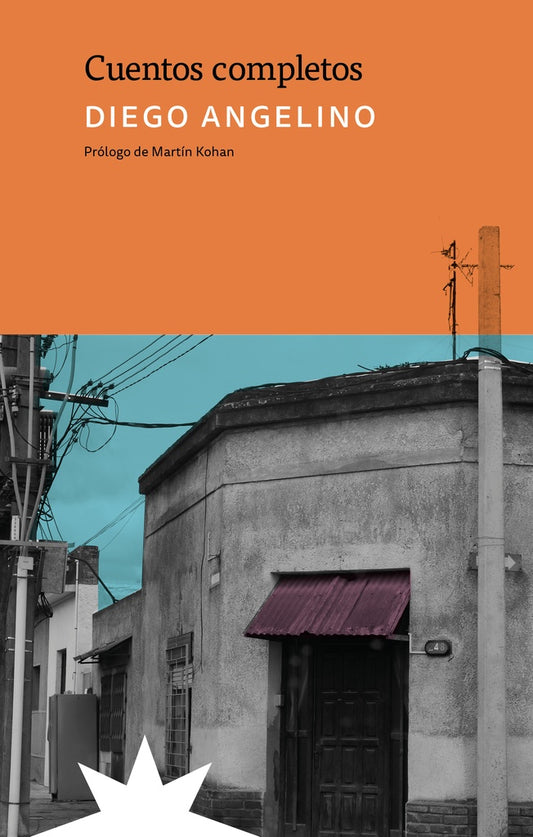 Cuentos Completos (Diego Angelino)