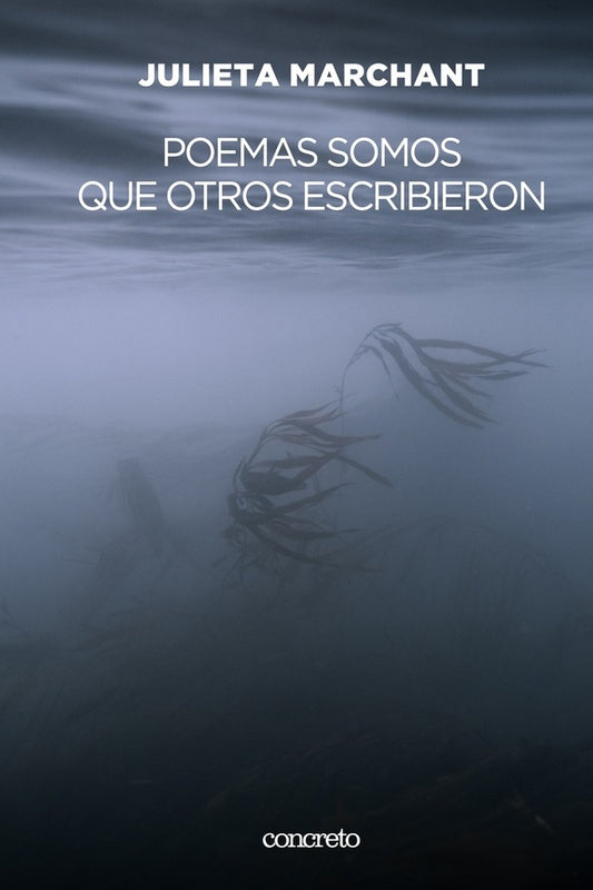 POEMAS SOMOS QUE OTROS ESCRIBIERON | Julieta Marchant
