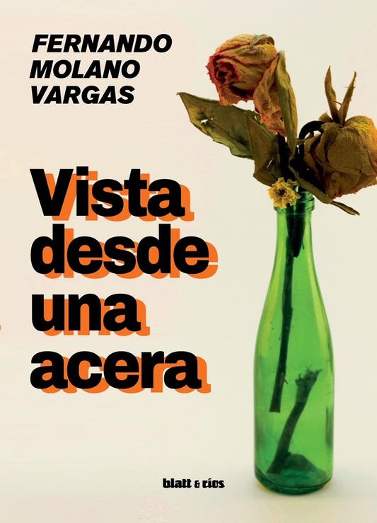 Vista desde una acera | Fernando Molano Vargas