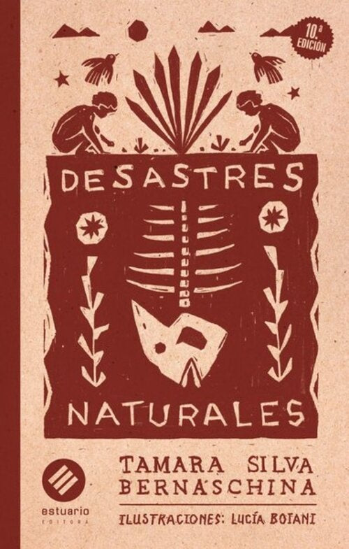 Desastres Naturales (ilustrado) | Tamara Silva Bernaschina