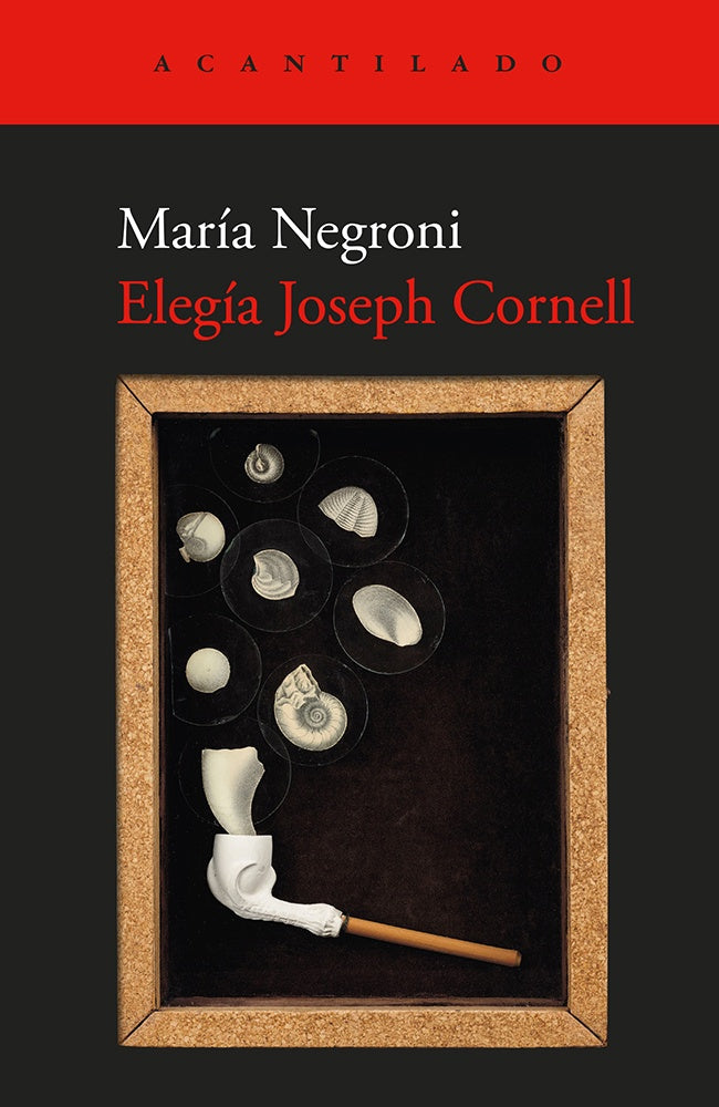 ELEGIA JOSEPH CORNELL | María Negroni