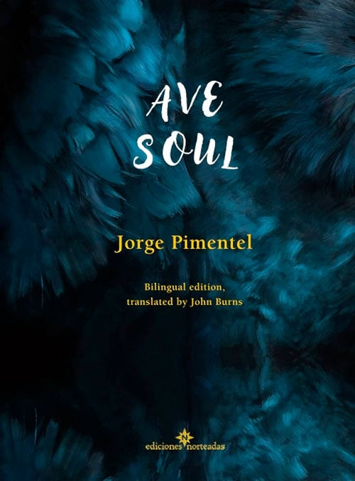 AVE SOUL | Jorge Pimentel