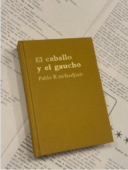El caballo y el gaucho | Pablo Katchadjian
