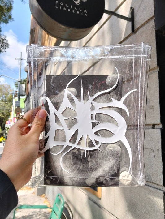 Ecos | Sebastián  Llorens